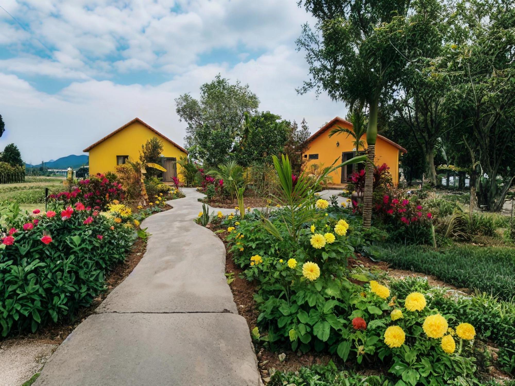 Вилла Ninh Binh Peaceful Retreat Экстерьер фото